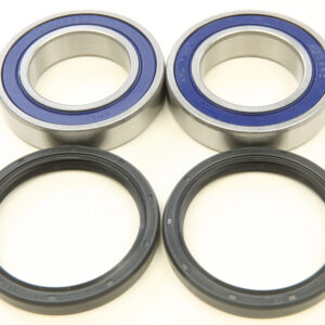 REAR WHEEL BEARING KIT