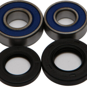 WHEEL BEARING & SEAL KIT