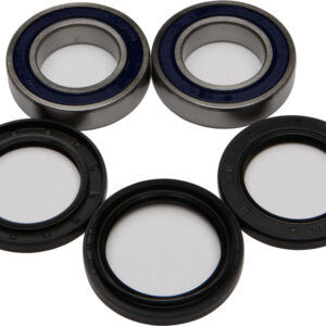 WHEEL BEARING & SEAL KIT