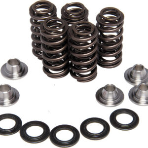 RACING VALVE SPRING KIT