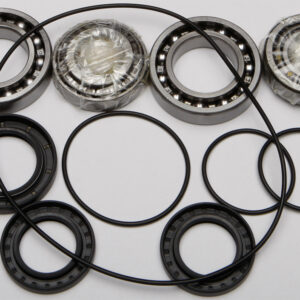 DIFFERENTIAL BEARING AND SEAL KIT