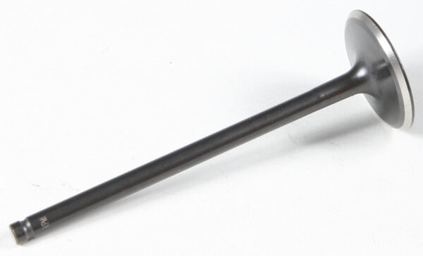 BLACK DIAMOND INTAKE VALVE