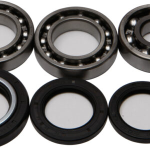 REAR DIFFERENTIAL BEARING AND SEAL KIT