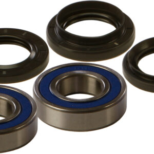 WHEEL BEARING & SEAL KIT