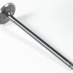 BLACK DIAMOND EXHAUST VALVE