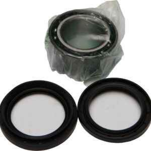 WHEEL BEARING & SEAL KIT