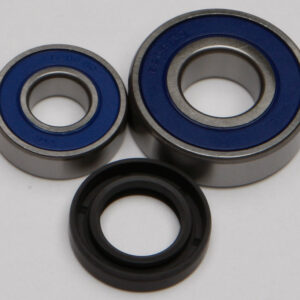 WHEEL BEARING & SEAL KIT