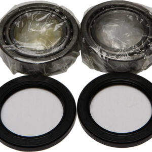 WHEEL BEARING & SEAL KIT
