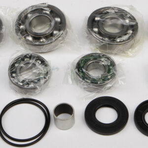 DIFFERENTIAL BEARING AND SEAL KIT