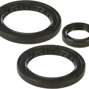 DIFFERENTIAL SEAL KIT