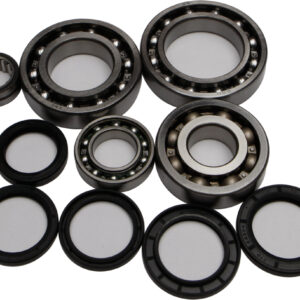 REAR DIFFERENTIAL BEARING AND SEAL KIT