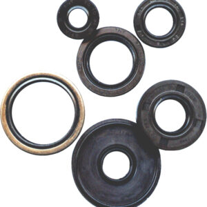 OIL SEAL SET