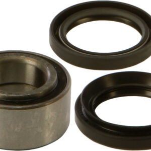 WHEEL BEARING & SEAL KIT