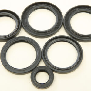 DIFFERENTIAL SEAL KIT