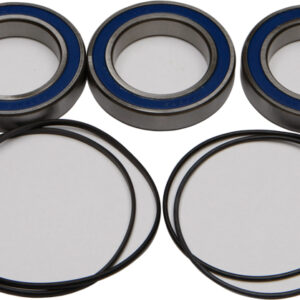 WHEEL BEARING & SEAL KIT