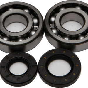 CRANKSHAFT BEARING/SEAL KIT