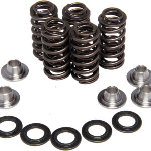 RACING VALVE SPRING KIT