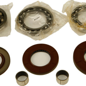 DIFFERENTIAL BEARING AND SEAL KIT