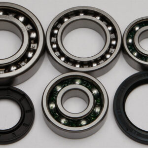 REAR DIFFERENTIAL BEARING AND SEAL KIT