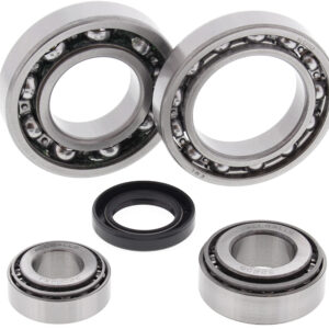 REAR DIFFERENTIAL BEARING AND SEAL KIT