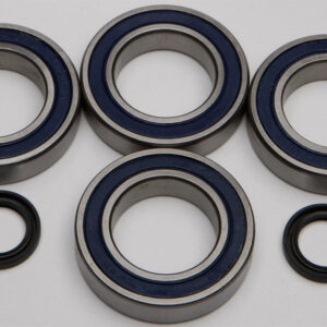 WHEEL BEARING & SEAL KIT