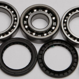 REAR DIFFERENTIAL BEARING AND SEAL KIT