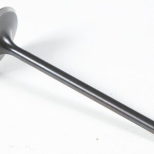 BLACK DIAMOND INTAKE VALVE