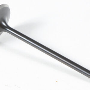 BLACK DIAMOND INTAKE VALVE