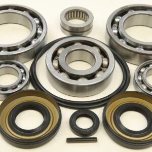 DIFFERENTIAL BEARING AND SEAL KIT