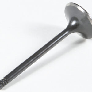 INTAKE VALVE