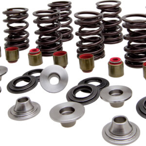 RACING VALVE SPRING KIT