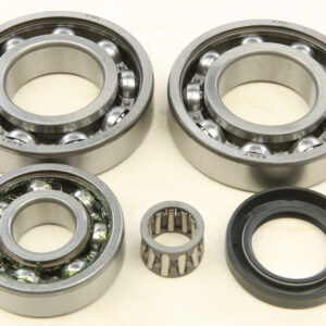 REAR DIFFERENTIAL BEARING AND SEAL KIT