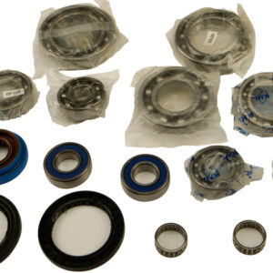 DIFFERENTIAL BEARING AND SEAL KIT