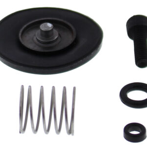 ACCEL. PUMP REBUILD KIT